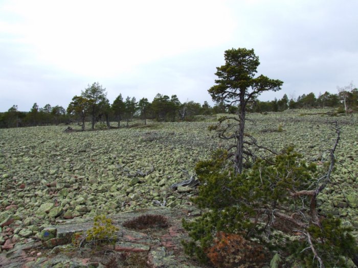 oernskoldsvik_02_05_11__227.jpg