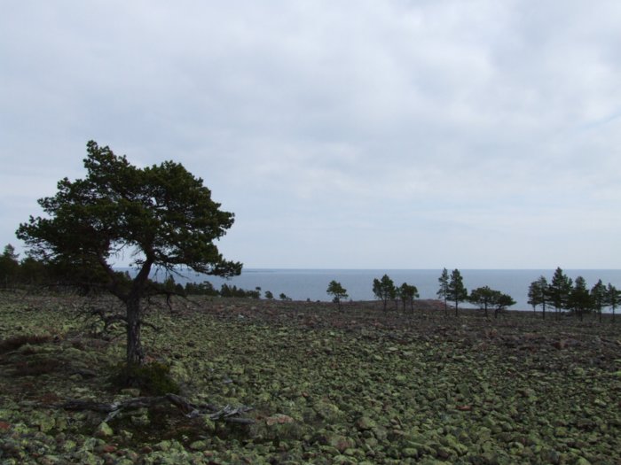 oernskoldsvik_02_05_11__231.jpg