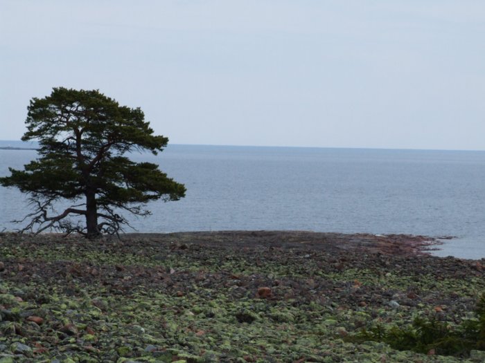 oernskoldsvik_02_05_11__237.jpg