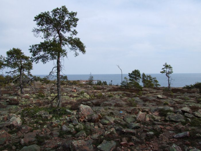 oernskoldsvik_02_05_11__263.jpg