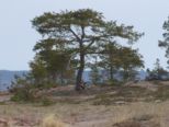 oernskoldsvik_02_05_11__089.jpg
