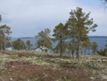oernskoldsvik_02_05_11__106.jpg