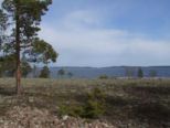 oernskoldsvik_02_05_11__118.jpg