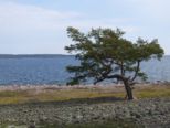 oernskoldsvik_02_05_11__124.jpg