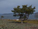 oernskoldsvik_02_05_11__132.jpg