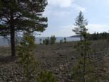 oernskoldsvik_02_05_11__145.jpg