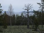 oernskoldsvik_02_05_11__180.jpg