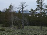 oernskoldsvik_02_05_11__189.jpg