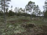 oernskoldsvik_02_05_11__196.jpg
