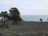 oernskoldsvik_02_05_11__221.jpg