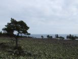 oernskoldsvik_02_05_11__231.jpg