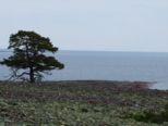 oernskoldsvik_02_05_11__237.jpg