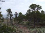 oernskoldsvik_02_05_11__241.jpg