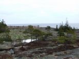 oernskoldsvik_02_05_11__259.jpg