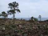 oernskoldsvik_02_05_11__263.jpg