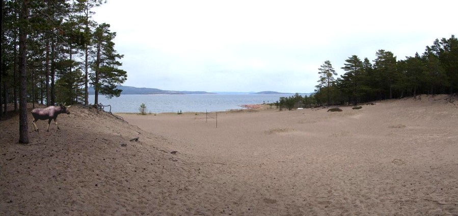 Der Sandstrand in Norrfällsviken in Schweden