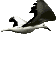 Möwe