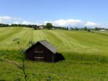 vagsnaes_358.jpg