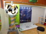 bubblefootball__077.jpg