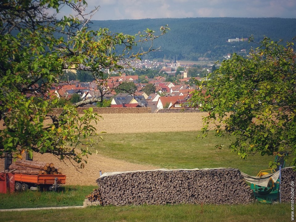 lohr26082019__004.jpg