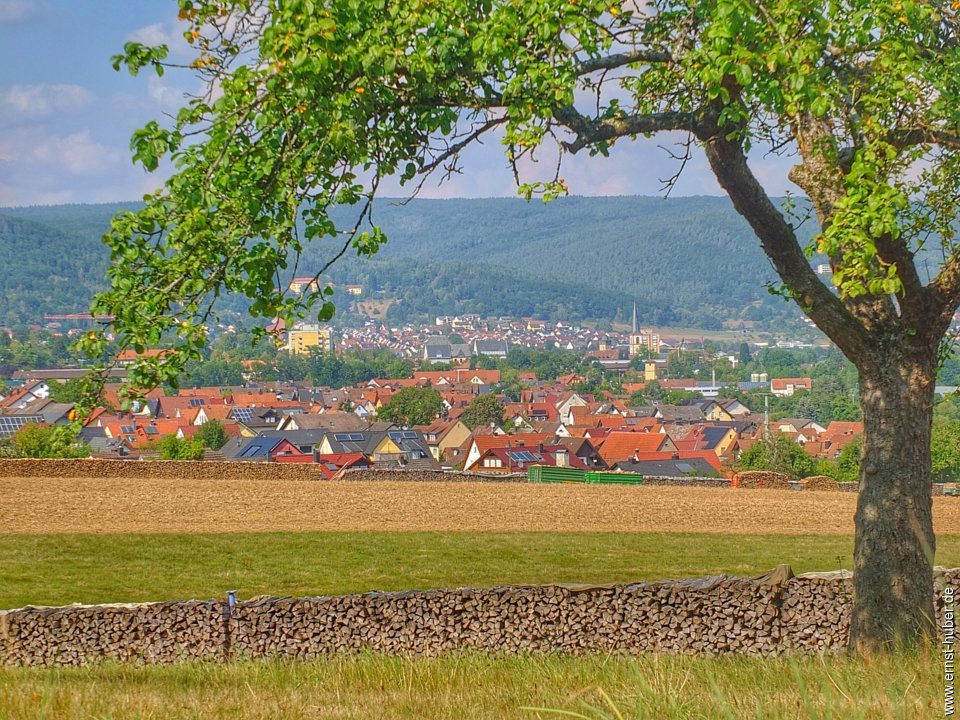 lohr26082019__031.jpg