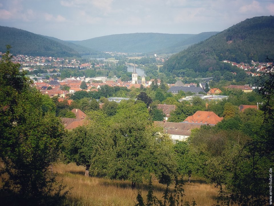 lohr26082019__063.jpg