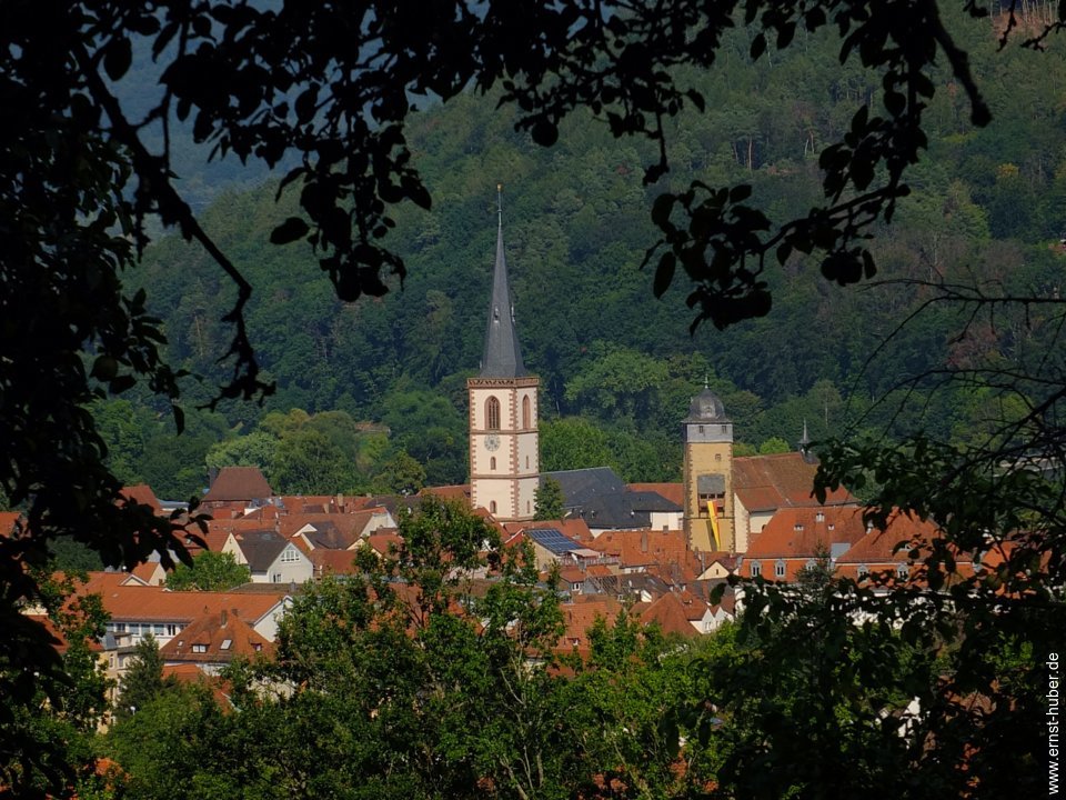 lohr26082019__127.jpg