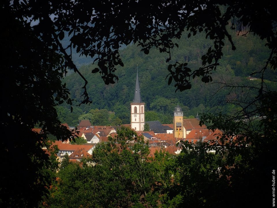 lohr26082019__136.jpg