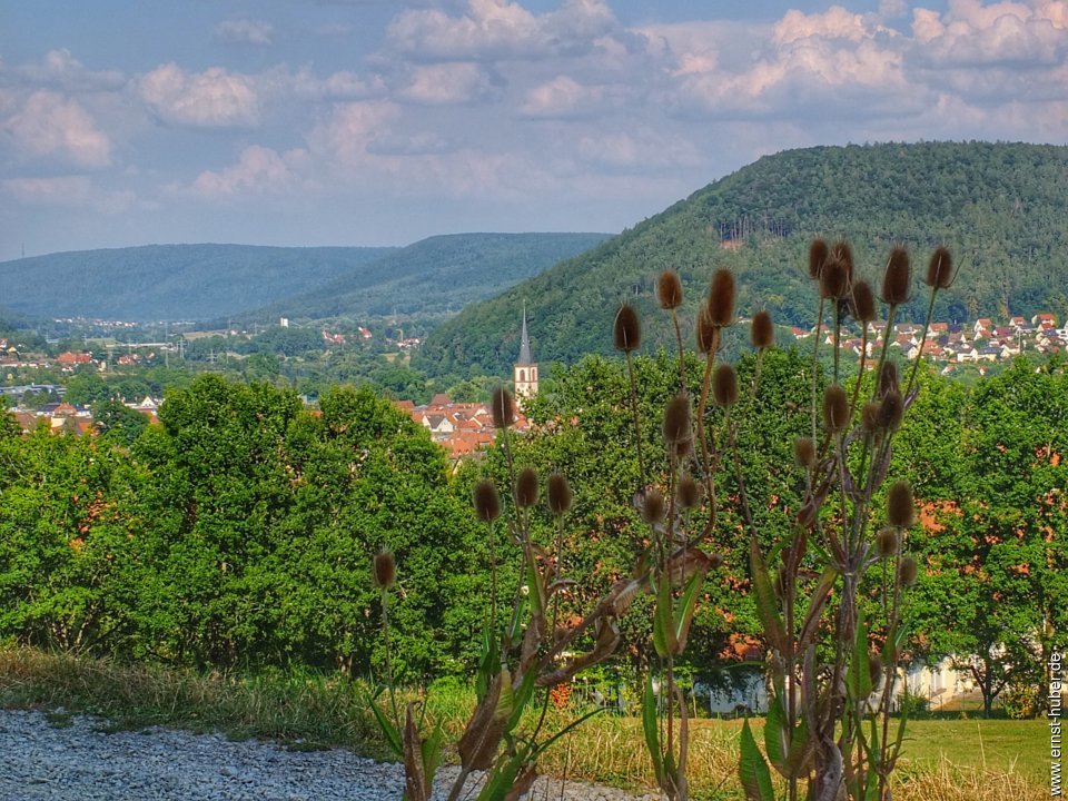 lohr26082019__200.jpg