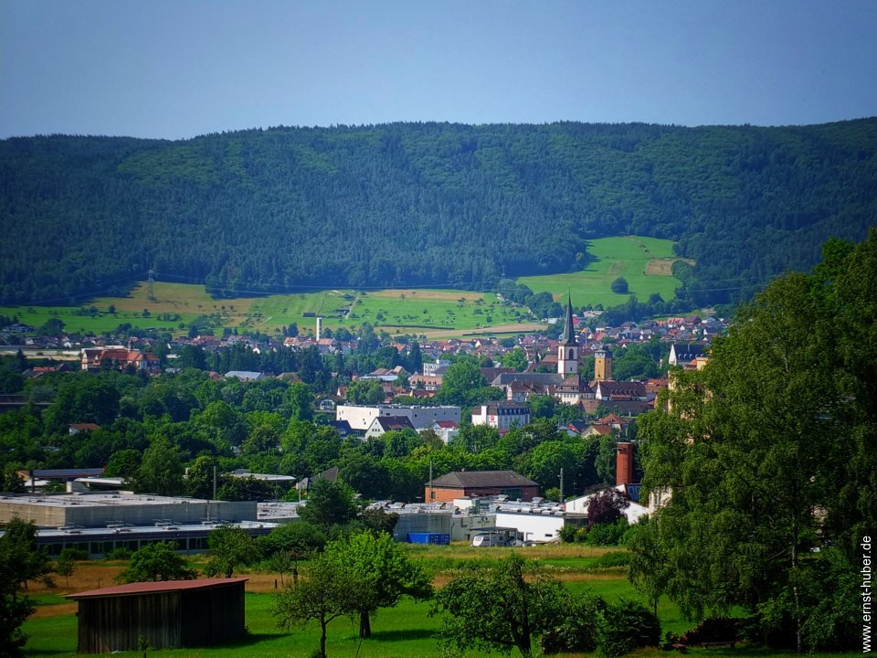 lohr18_07_21_042.jpg