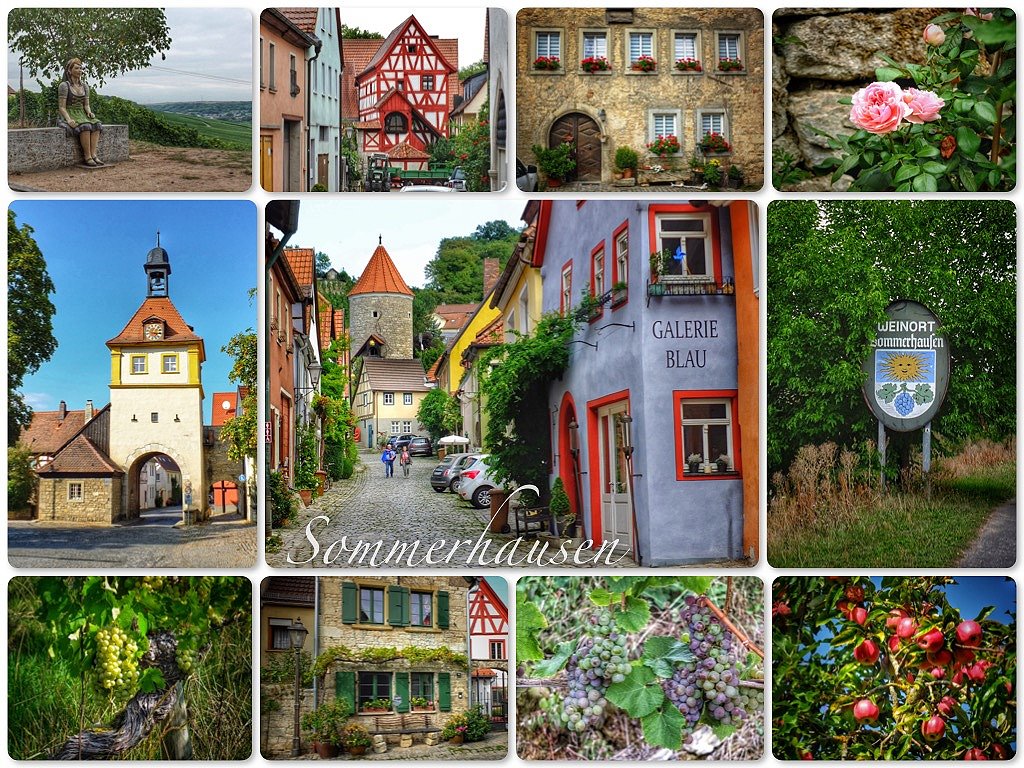 Auf dem Panoramaweg rund um Sommerhausen a. Main