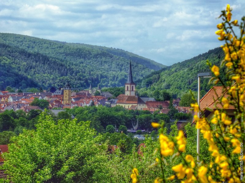 lohr_170515_001.jpg