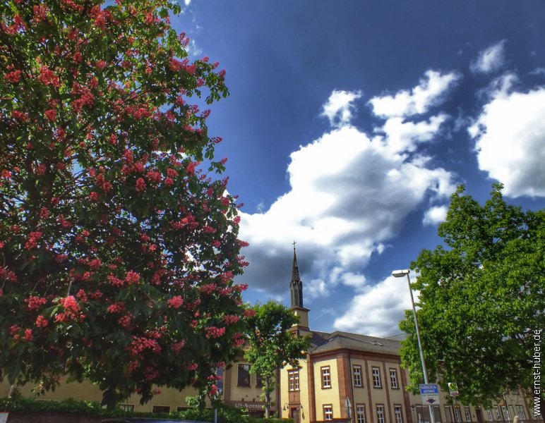 lohr_170515_013.jpg
