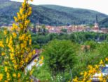 lohr_170515_002.jpg