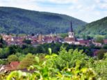 lohr_170515_003.jpg