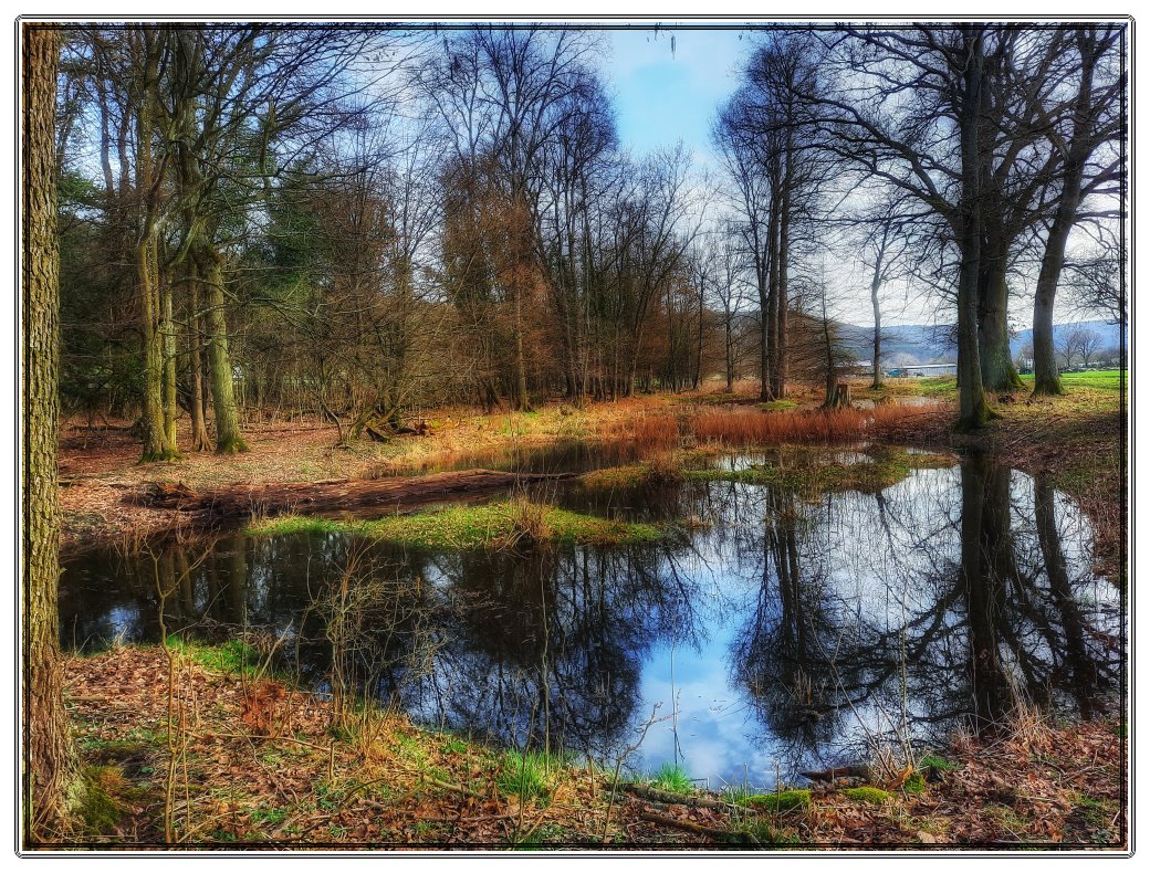 Der Stadlersee im Naturschutzgebiet Romberg