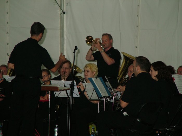 swing_120.jpg