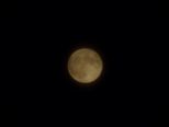 mond14112016__002.jpg