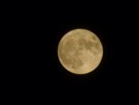mond14112016__015.jpg