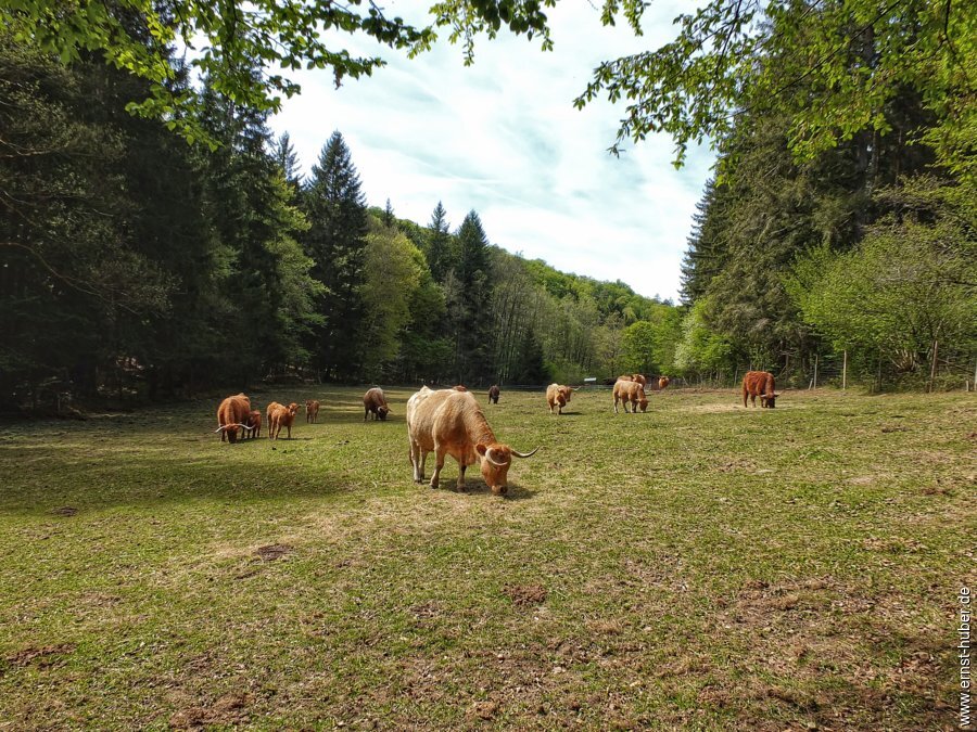 sylvan2026__008.jpg