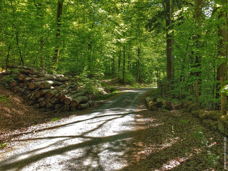 sylvan2026__026.jpg