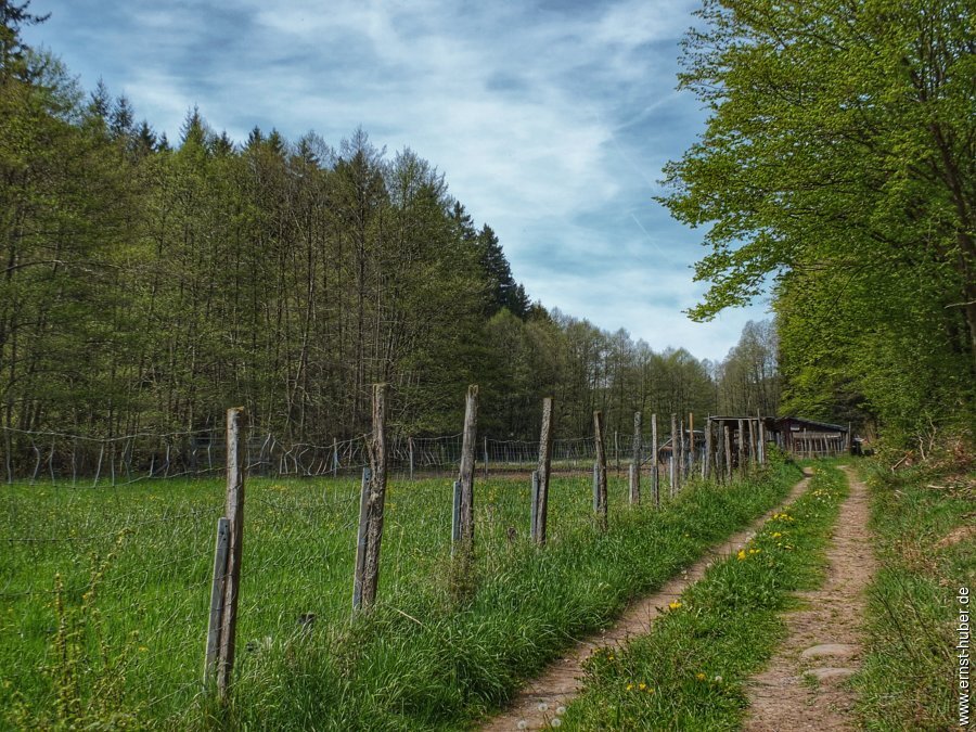 sylvan2026__031.jpg