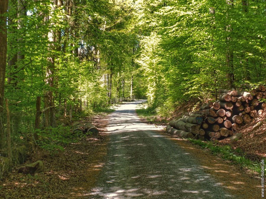 sylvan2026__034.jpg