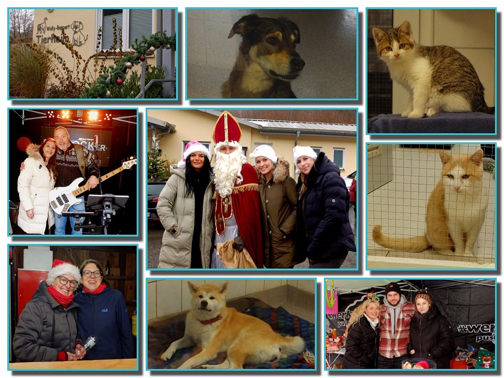 Impressionen von der Pftchen Weihnacht rund ums Wally Bangert Tierheim in Sackenbach