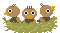 Vogelnest