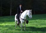 tiersegnung_2010__265.jpg