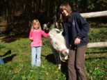 tiersegnung_2010__284.jpg