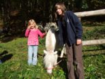 tiersegnung_2010__286.jpg