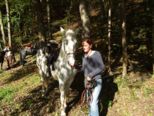 tiersegnung_2010__288.jpg