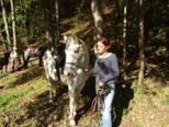 tiersegnung_2010__289.jpg